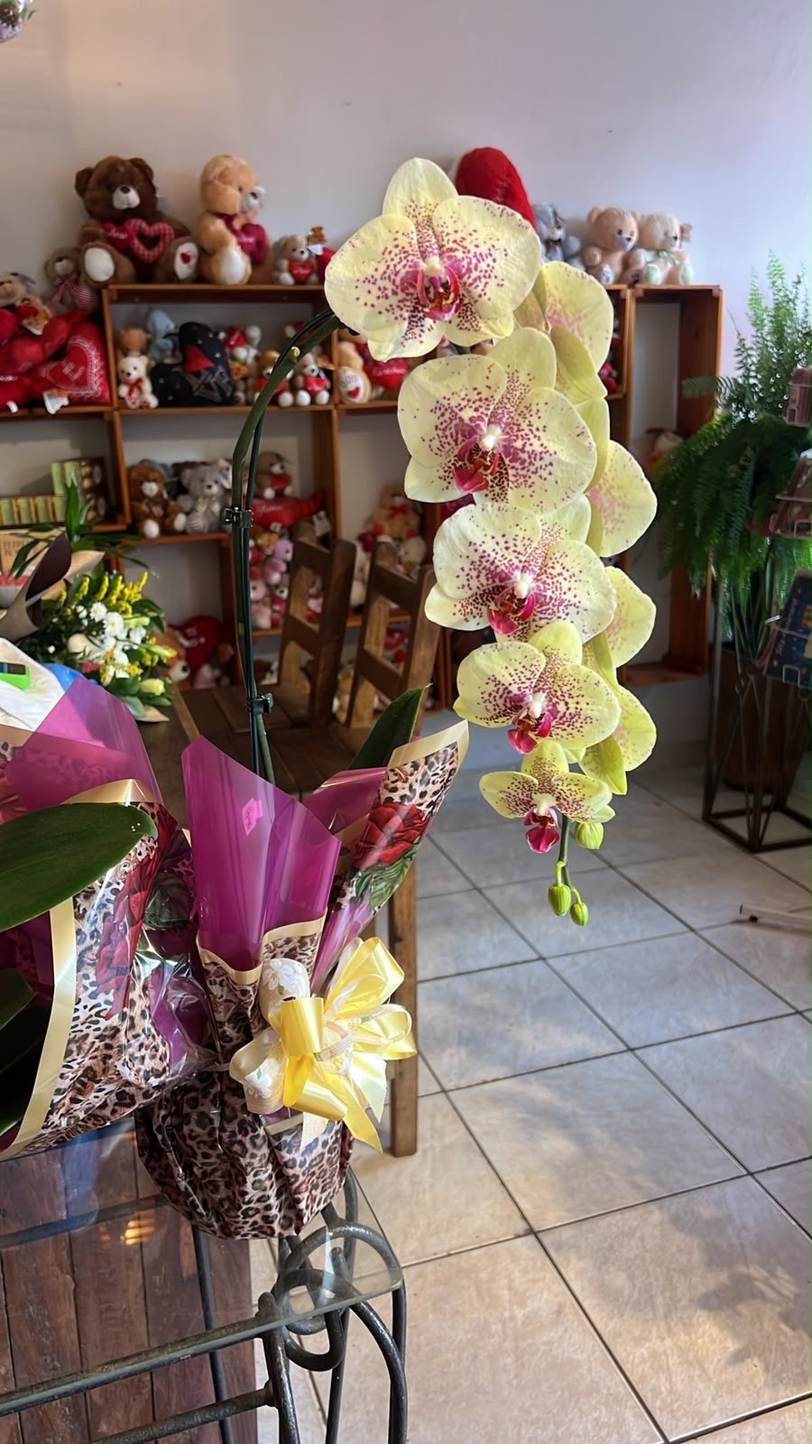 orquídea cascata