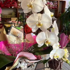 orquídea cascata