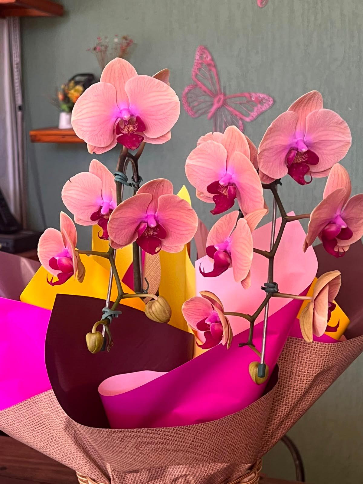 orquídea
