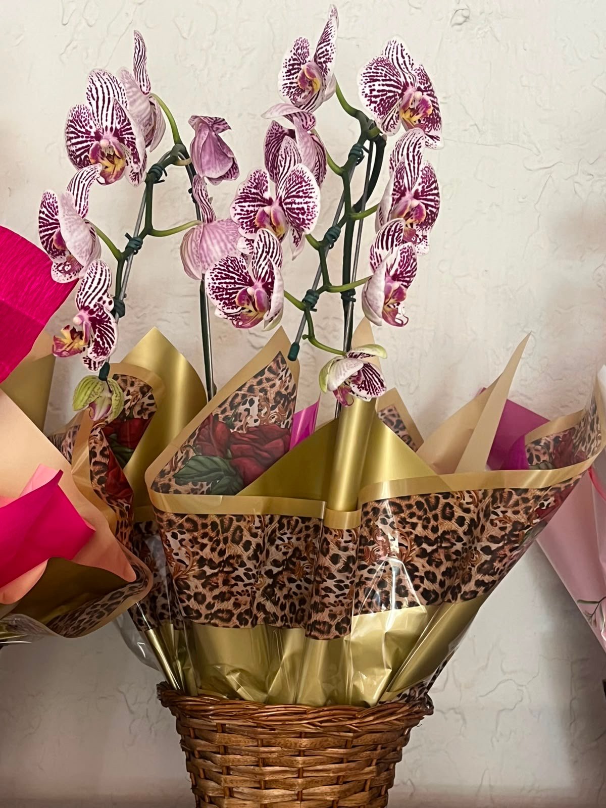 orquídea